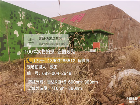 湖南星空迷彩墙施工队