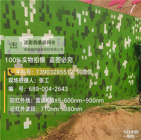 湖南星空迷彩漆，夏令营训练,数码迷彩作训墙,围墙